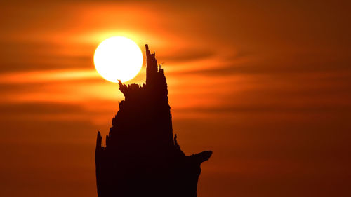 Close-up of silhouette bird against sky during sunset