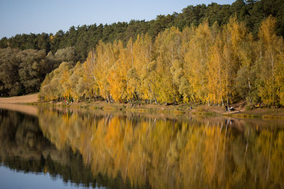 Scenic view of lake in forest during autumn