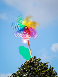 Low angle view of multi colored tree against sky