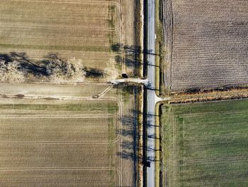 High angle view of agricultural field