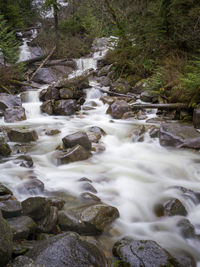 Stream flowing through rocks in forest