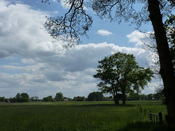 Scenic view of grassy field against cloudy sky