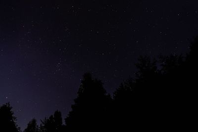 Low angle view of star field against star field