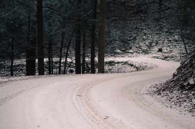 Road amidst trees in forest during winter