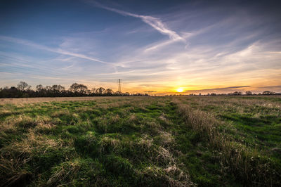 Scenic view of field against sky during sunset