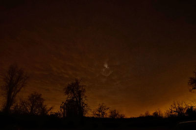 Silhouette trees against sky at night