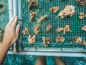 Low section of woman standing by swimming pool