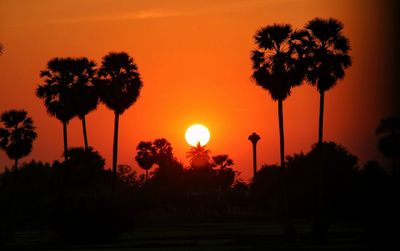 Silhouette trees against sky during sunset