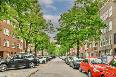 Cars on street in city