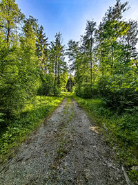 Road amidst trees against sky during autumn