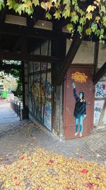 Man walking on multi colored tree