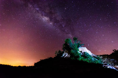 Low angle view of silhouette trees against sky at night