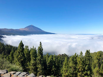 Scenic view of trees and mountains against blue sky