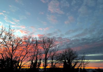 Silhouette of trees at sunset