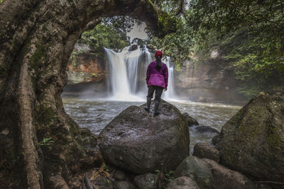 Rear view of waterfall in forest