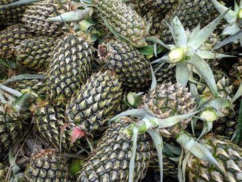 Close-up of fruits for sale in market