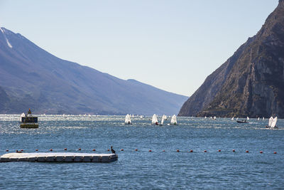 Sailboats in sea against clear sky