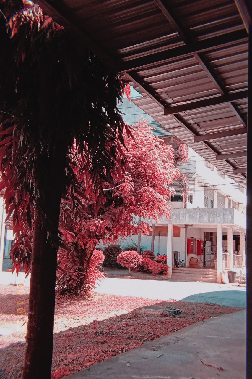 VIEW OF BUILDING AND TREES AT RED FLOWER