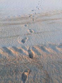 High angle view of footprints in snow