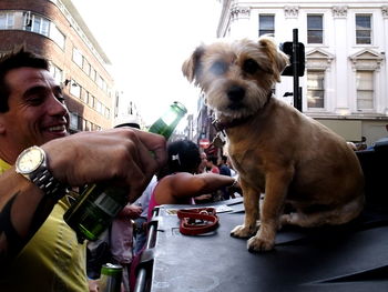 Dog looking at camera