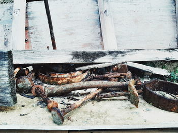 High angle view of lizard on log