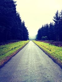 Road amidst trees against clear sky