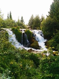 Scenic view of waterfall in forest against sky