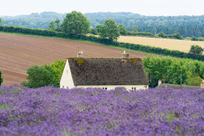 Scenic view of field against cloudy sky