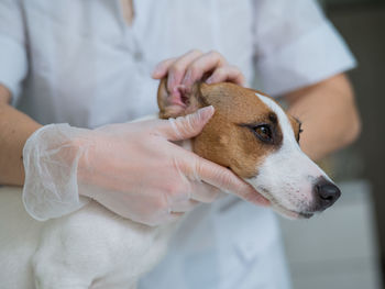 Midsection of man with dog