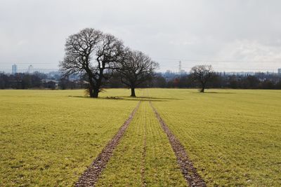 Scenic view of field against sky