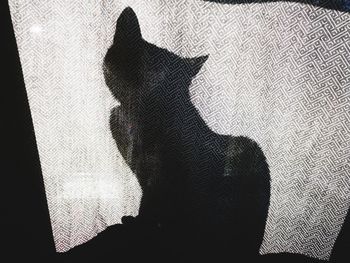 Close-up portrait of silhouette person