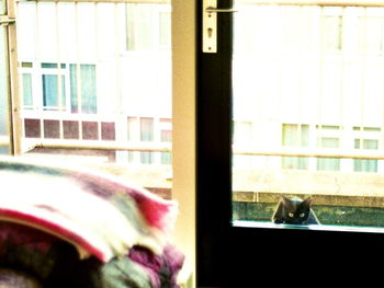 Woman looking through window