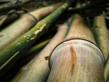 Full frame shot of food