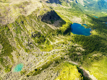 High angle view of plants on land