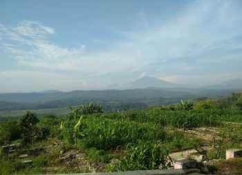 Scenic view of landscape against sky