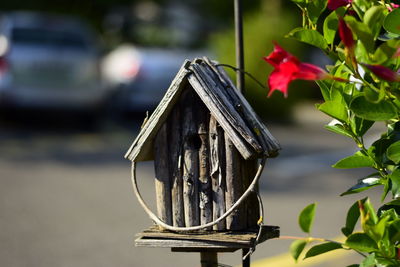 Close-up of small birdhouse by street