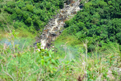 High angle view of waterfall amidst trees in forest