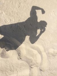 shadow