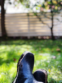 Low section of person on grass