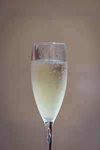 Close-up of wine glass against white background