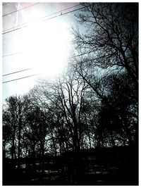 Low angle view of silhouette trees against sky