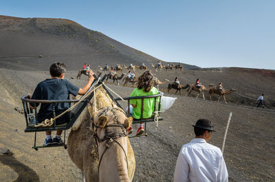 People riding on camels at desert against clear sky