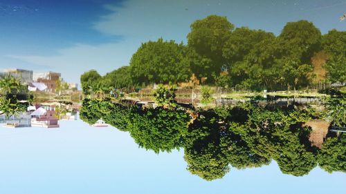 Panoramic view of trees against sky