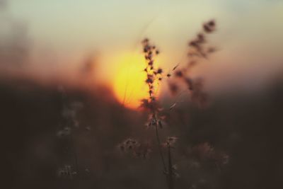 Scenic view of sky at sunset