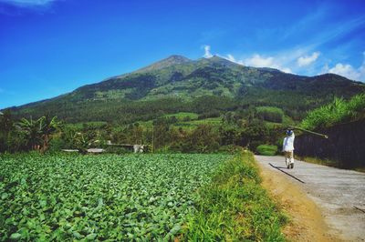 Rear view of man walking on landscape against sky