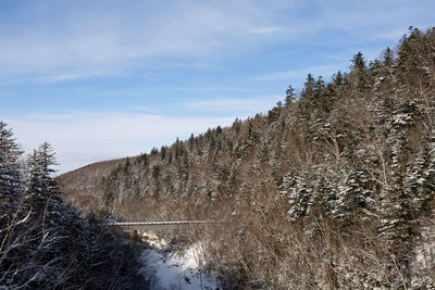 Scenic view of snow covered land against sky