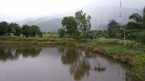 Scenic view of lake by trees against sky