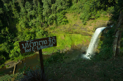 Information sign by trees in forest