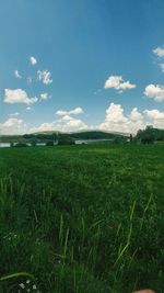 Scenic view of field against sky