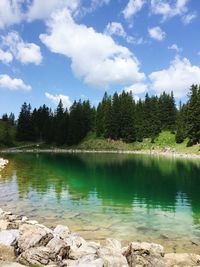 Scenic view of lake in forest against sky